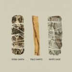 Sacred Energy Purification Trio（ Yerba Santa/Palo Santo/White Sage）(4")