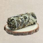 Yerba Santa (4")