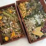 Crystal Herb Purification（Contains 9 herbs）