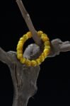 Golden TIger' s Eye Bracelet
