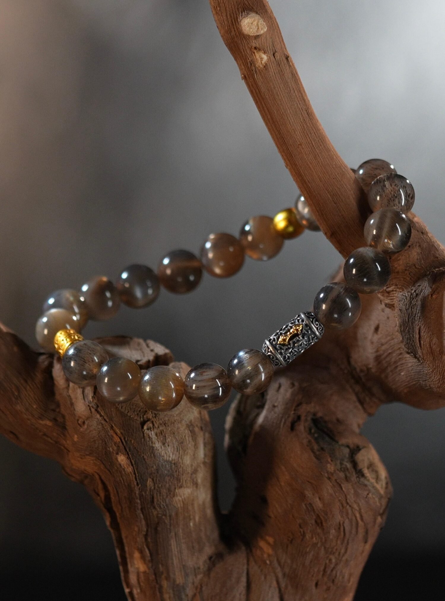 Black Gold Sun Backbone